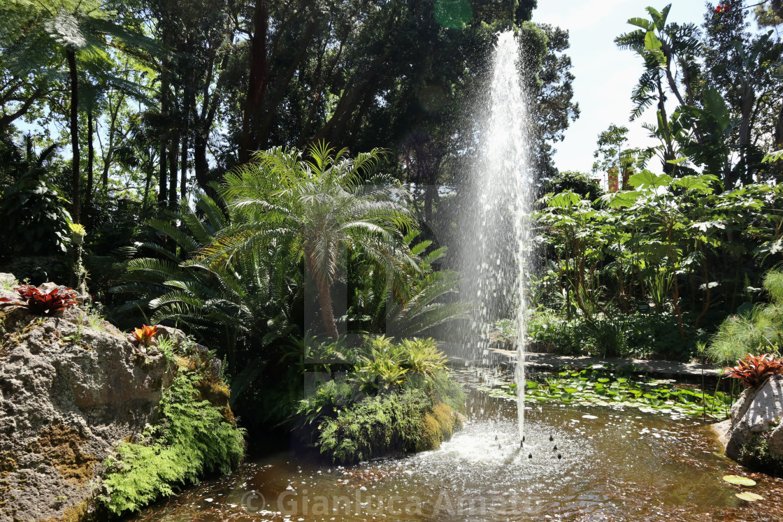 "Forio - Fontana Alta ai Giardini La Mortella" stock image