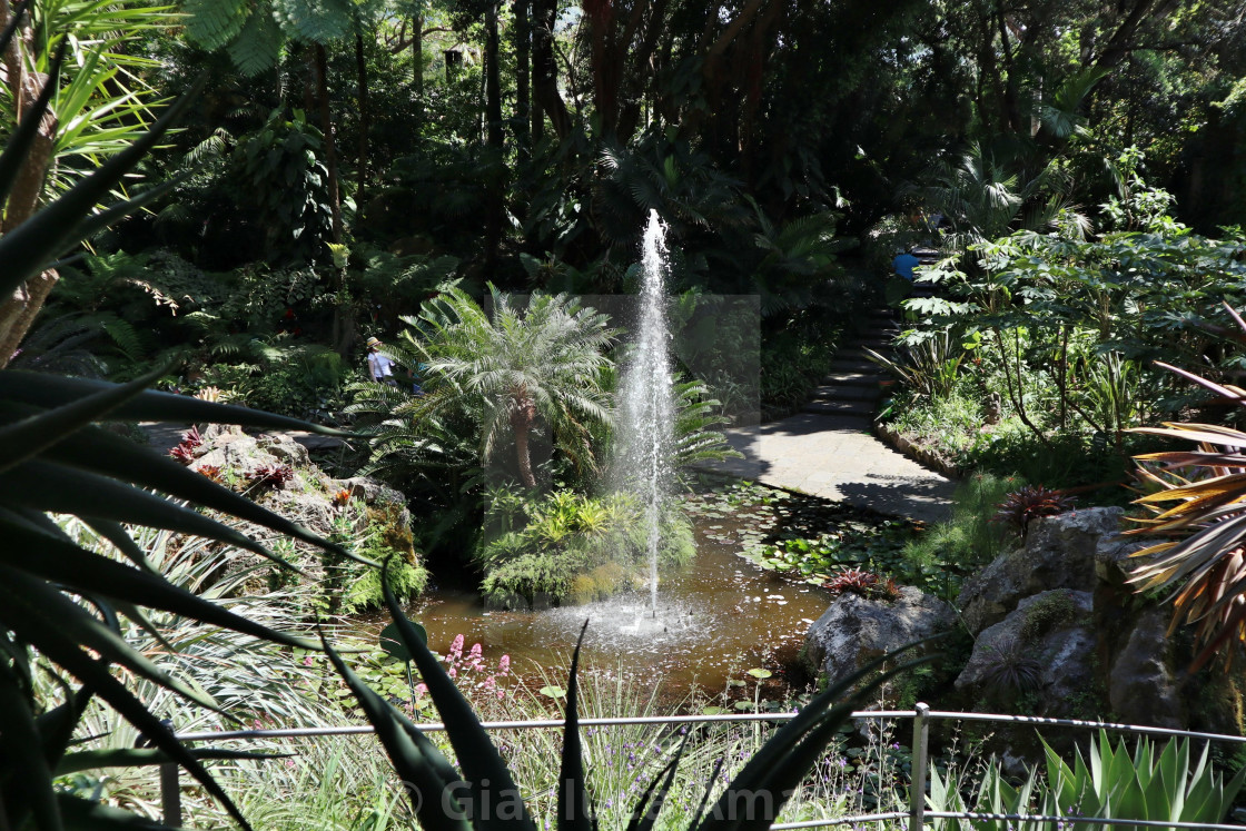 "Forio - Scorcio della Fontana Alta ai Giardini La Mortella" stock image