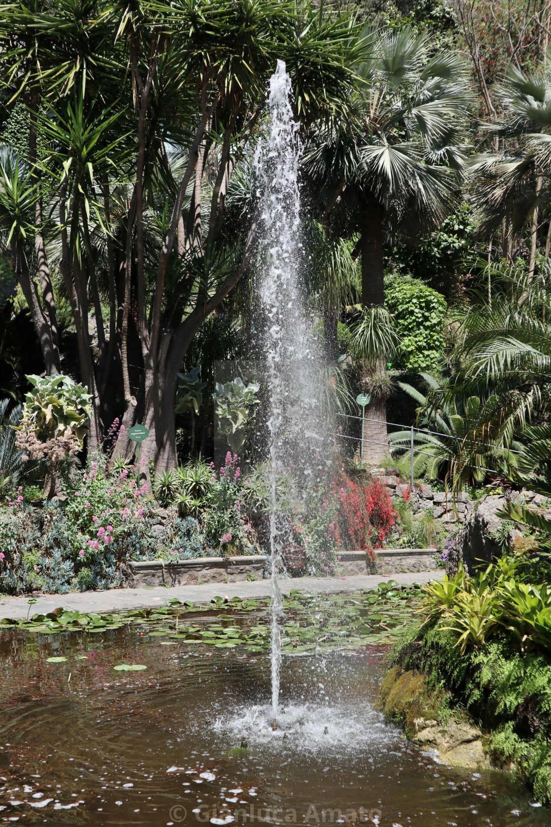 "Ischia - Fontana Alta ai Giardini La Mortella" stock image