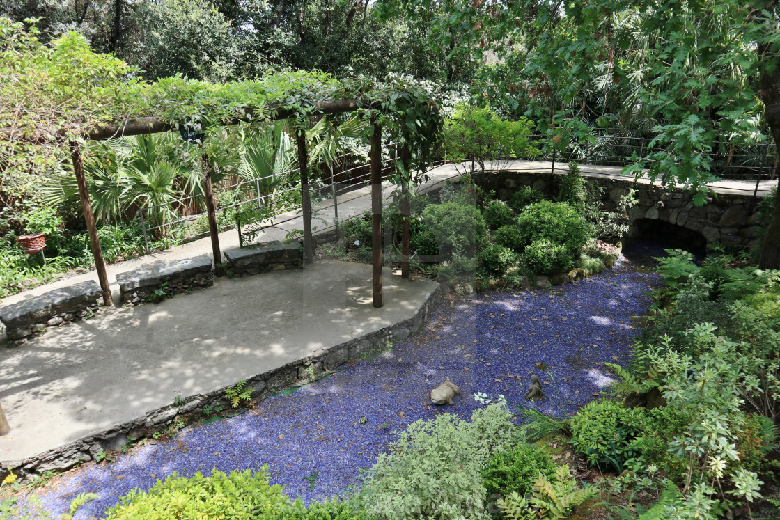 "Ischia - Scorcio del lago di ciottoli di vetro blu ai Giardini La Mortella" stock image