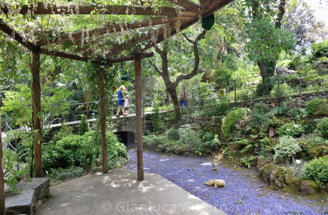 "Ischia - Scorcio del pergolato La Glorieta ai Giardini La Mortella" stock image