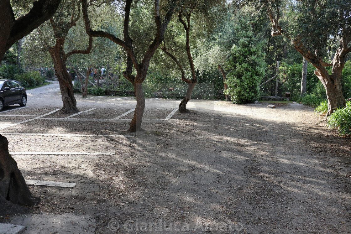 "Ischia - Parcheggio di sopra dei Giardini La Mortella" stock image