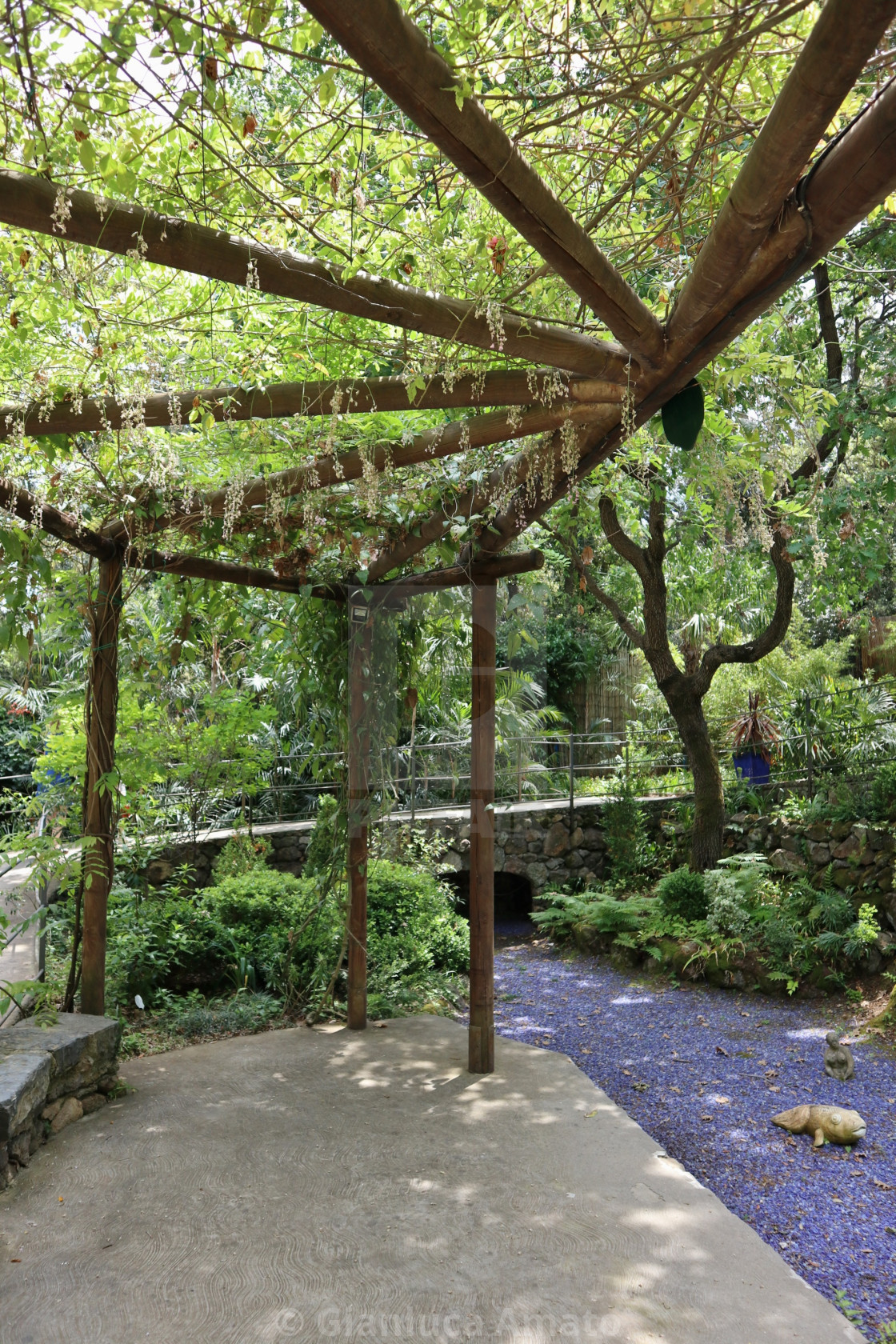 "Ischia - Pergolato La Glorietta ai Giardini La Mortella" stock image