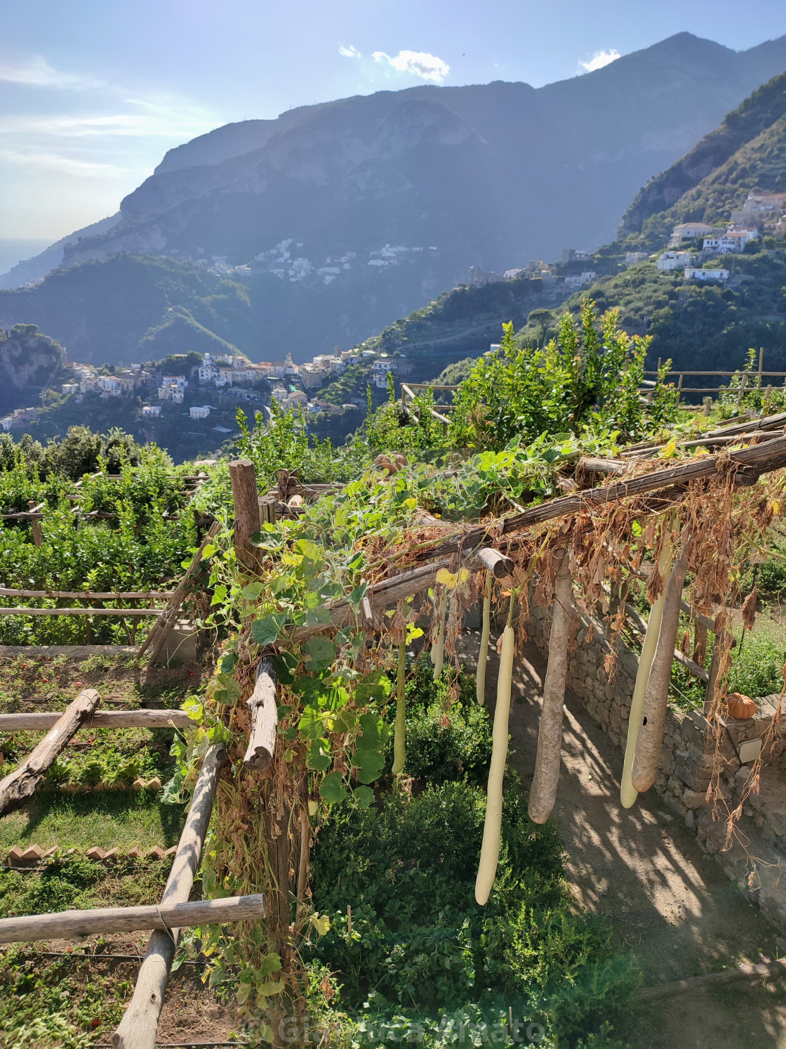 "Ravello - Orto di Villa Maria" stock image