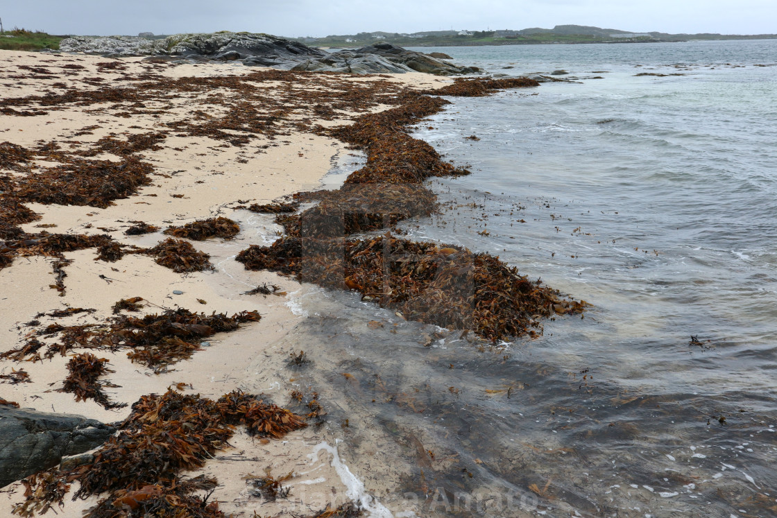 "Mannin – Spiaggia di Mannin Bay dalla riva" stock image