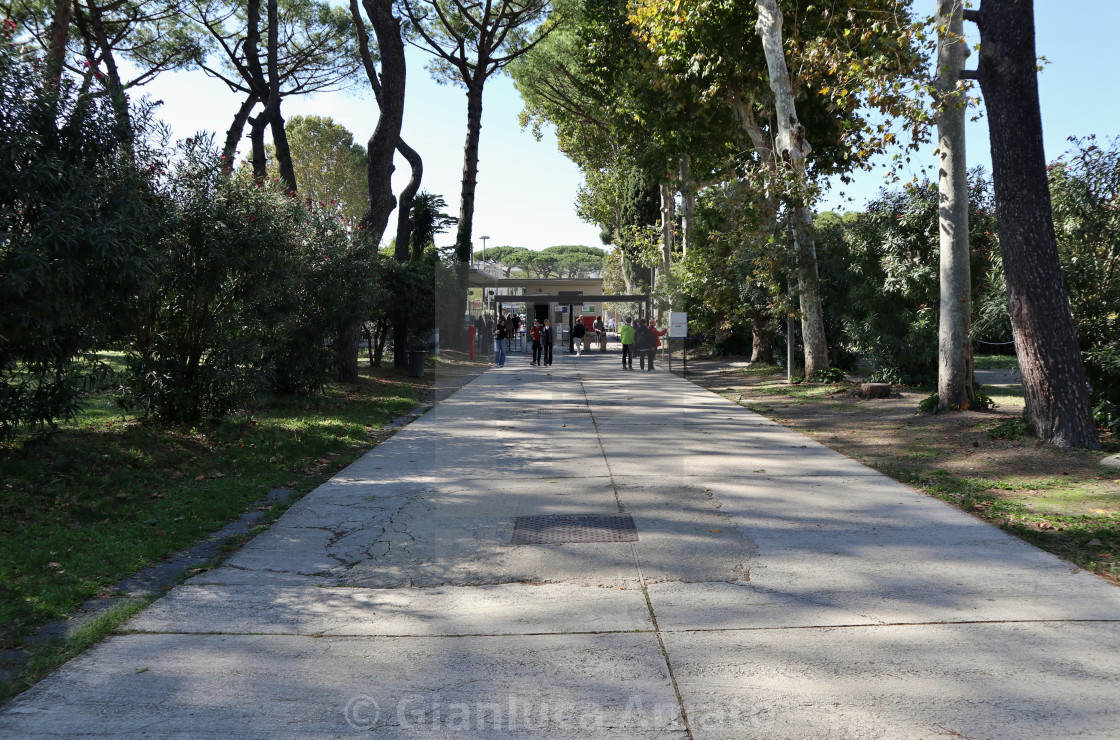 "Pompei - Viale delle Ginestre verso l'uscita di Piazza Esedra" stock image