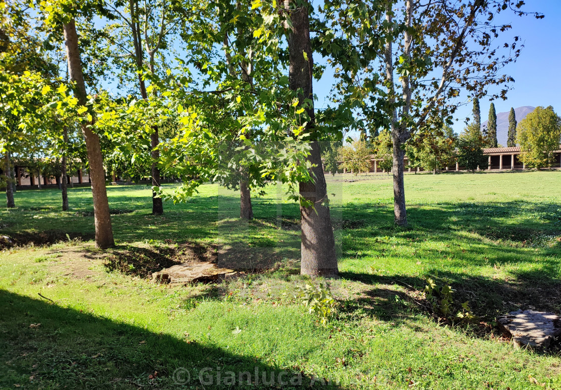 "Pompei - Giardino della Palestra Grande" stock image