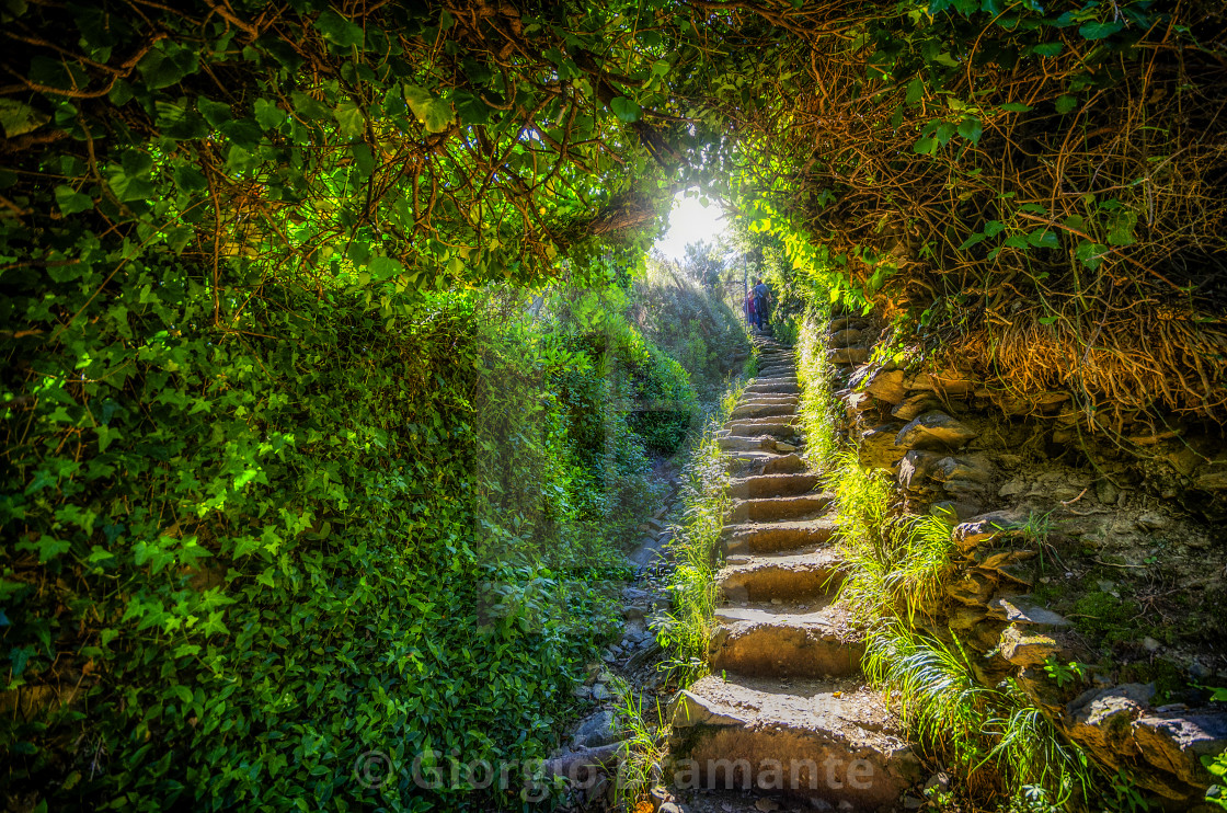 "Via dell'Amore" by Giorgio Bramante - $61.76 "Via dell'Amore" stock image
