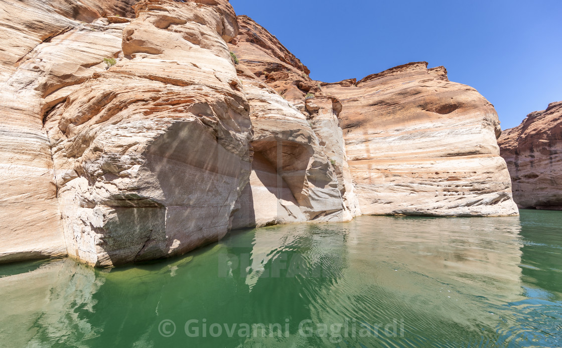 "Lake Powell, Arizona. Narrow cliff-lined canyon from a boat in Glen Canyon..." by Giovanni Gagliardi - $7.68 "Lake Powell, Arizona. Narrow cliff-lined canyon from a boat in Glen Canyon..." stock image