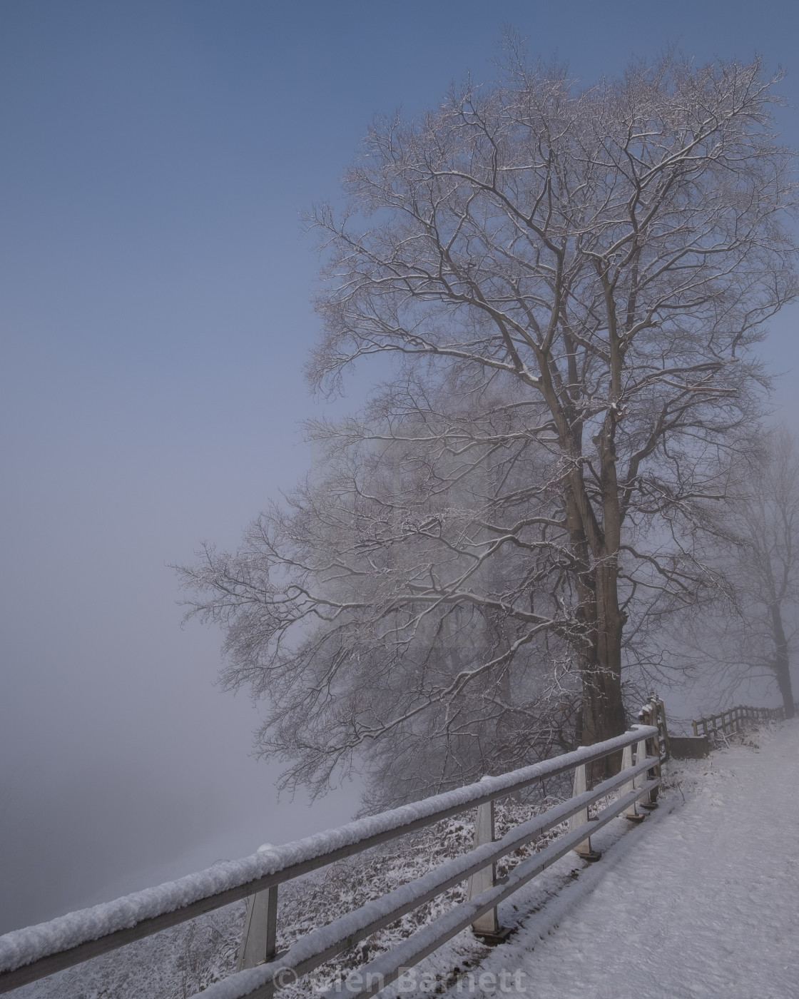 "Picket fence and a Snowy tree" stock image