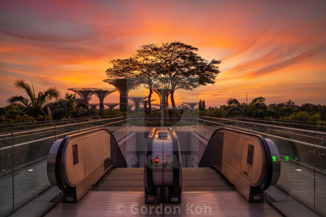 "Sunrise at Gardens by the Bay" stock image