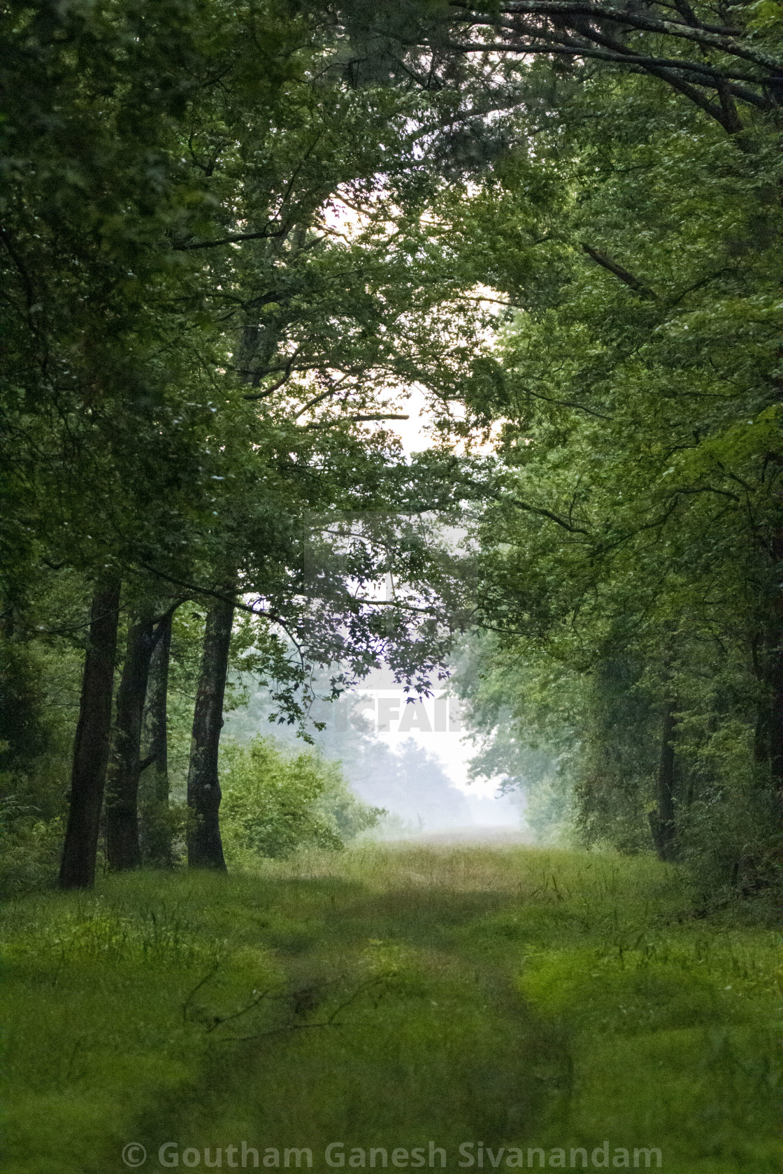 "Road to Heaven" stock image