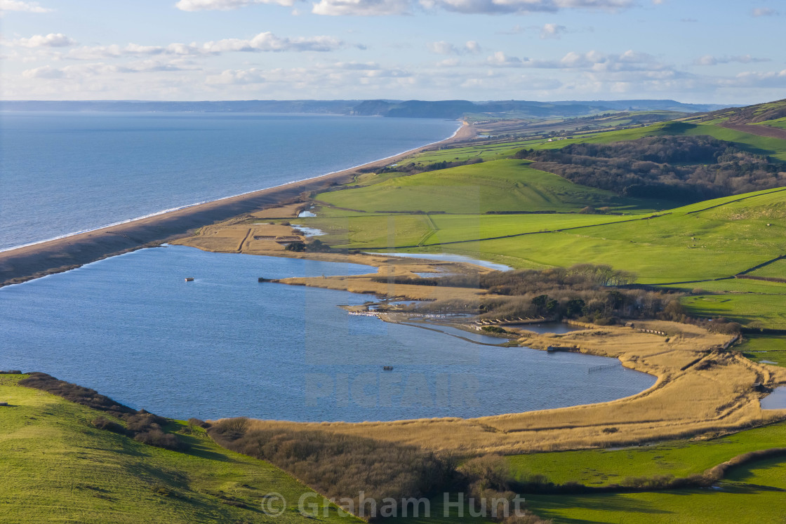 "Sunshine at Abbotsbury Swannery in Dorset, UK." stock image