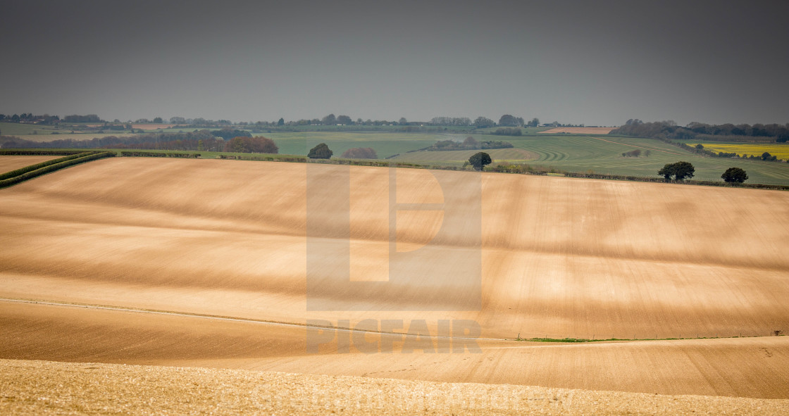 "english farming landscape in spring" stock image