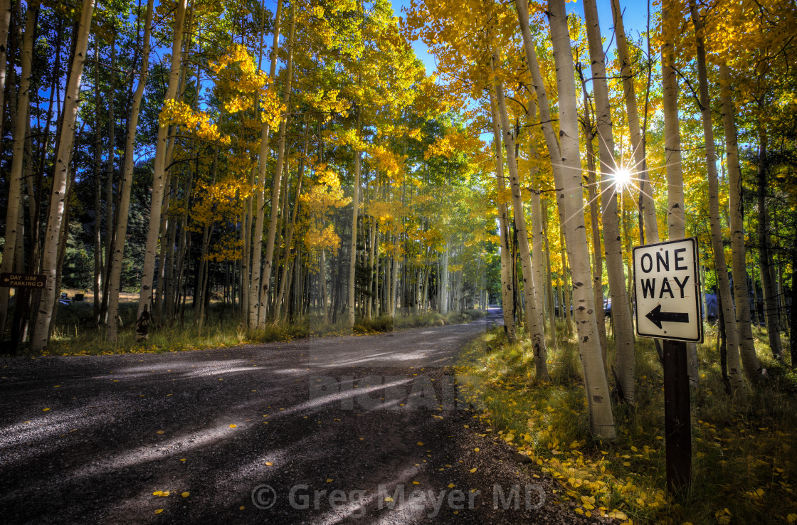 "One way" stock image