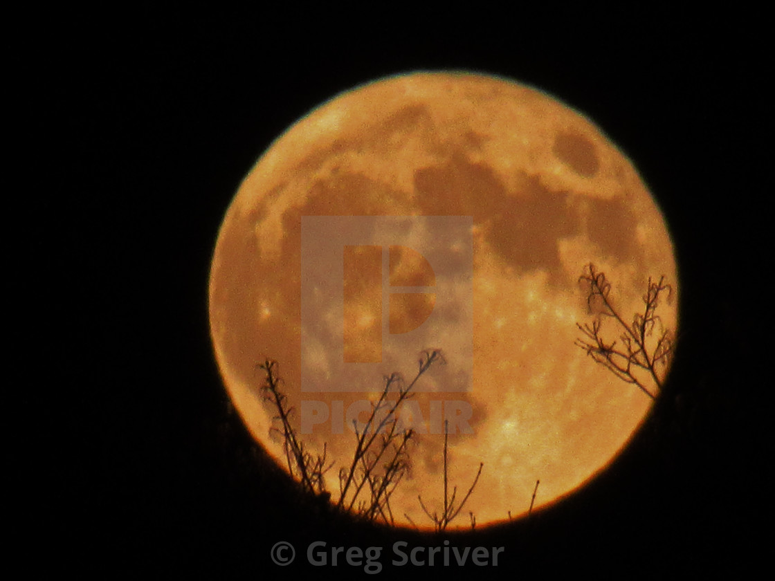 "Halloween - Full Moon" stock image