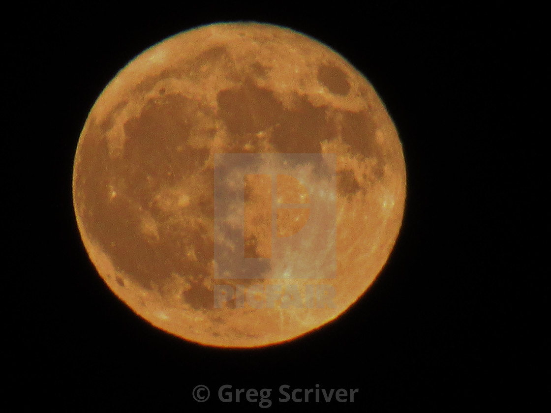 "Halloween - Full Moon" stock image