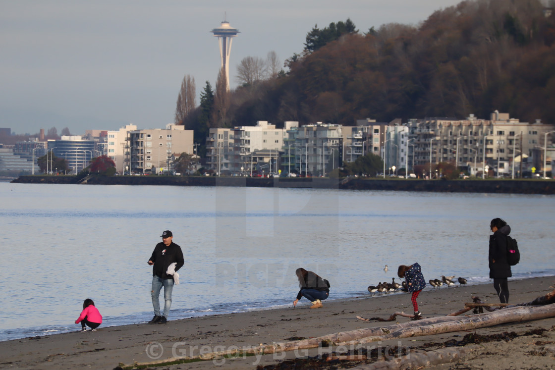 "Family Beach Combing" stock image