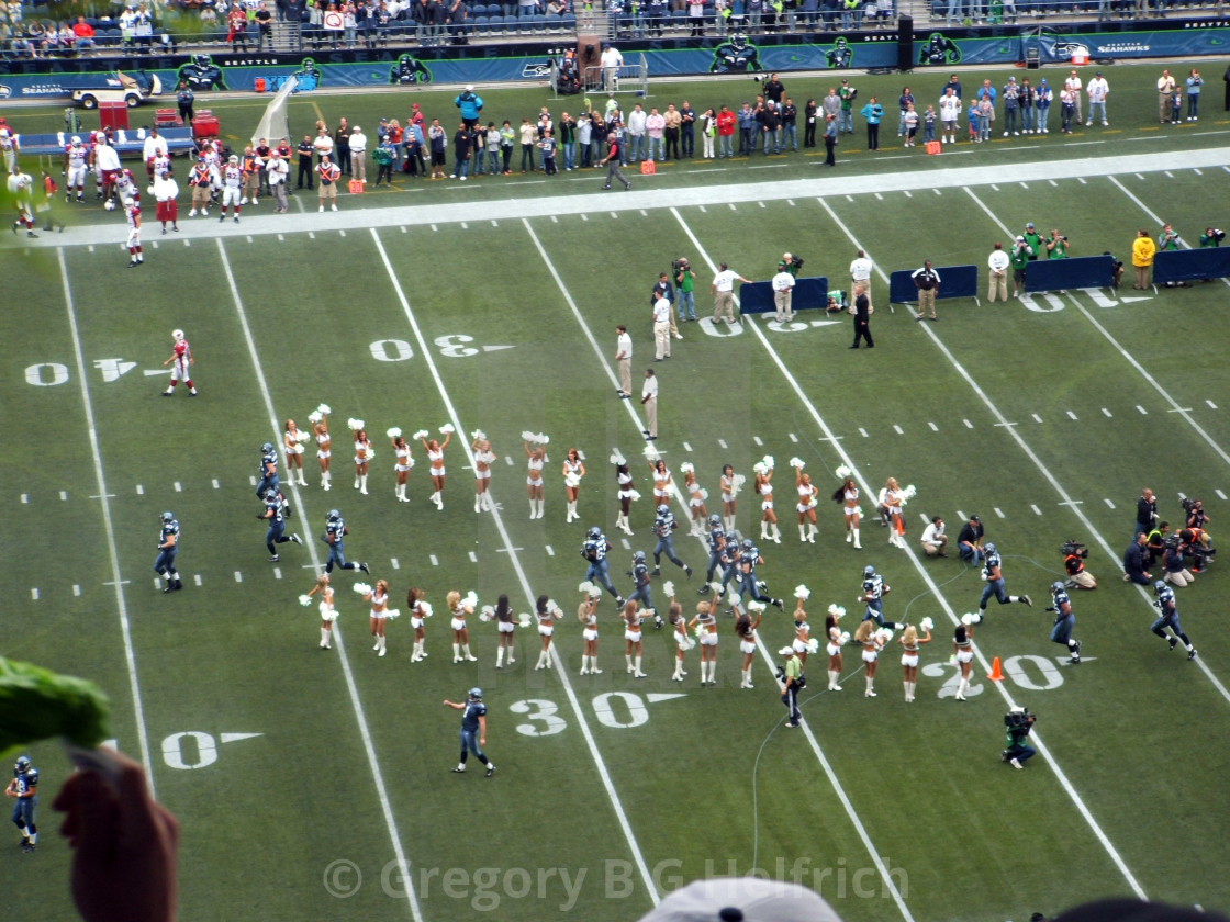 "Seagalls Welcome Seahawks" stock image