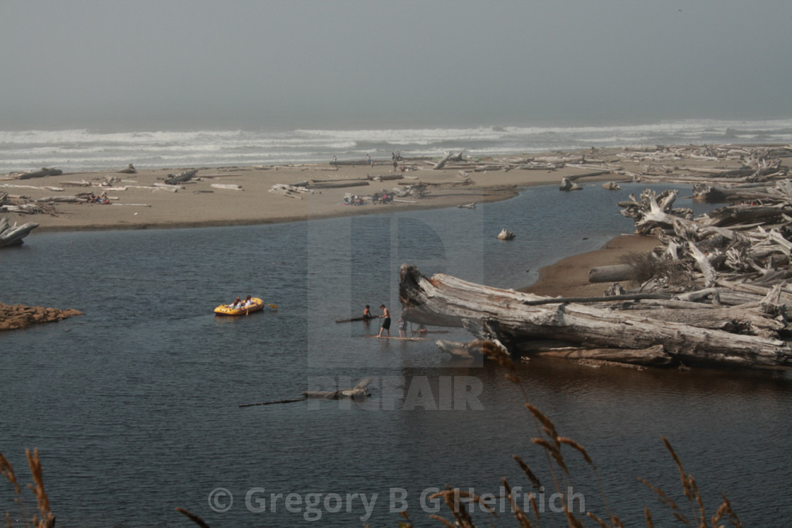 "Olympic National Park Beach" stock image