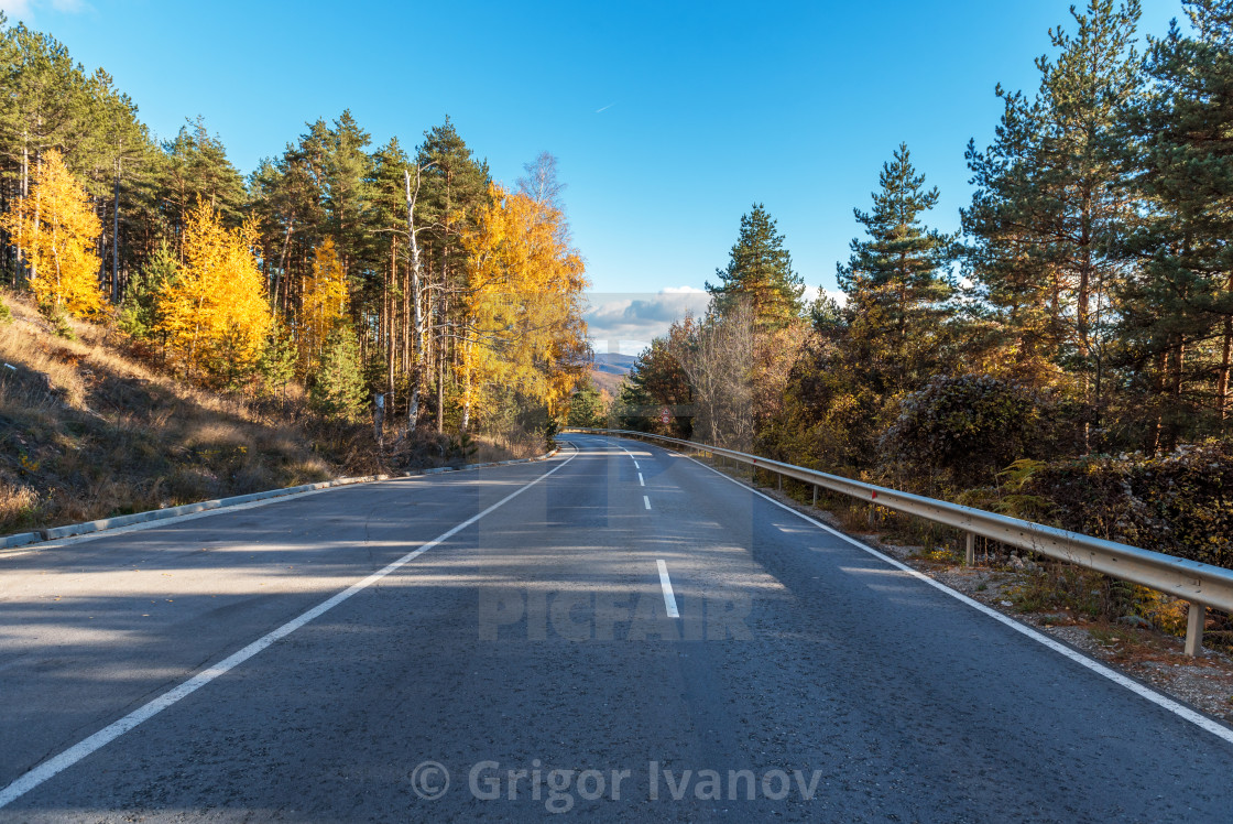 "Asphalt road with beautiful trees on the sides in autumn." stock image