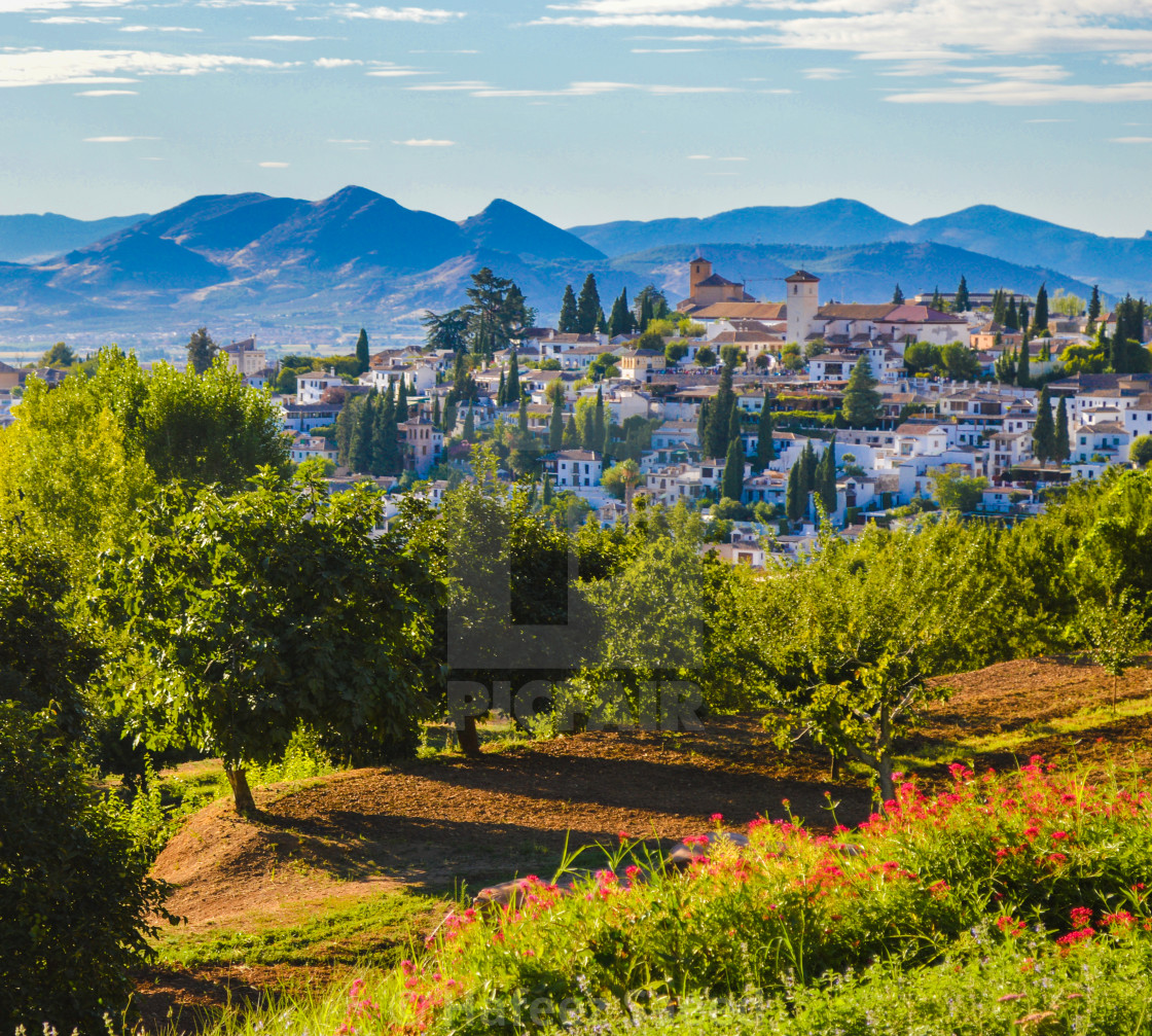 "SIERRA NEVADA" by Hafeez Saeed - £55.00 "SIERRA NEVADA" stock image