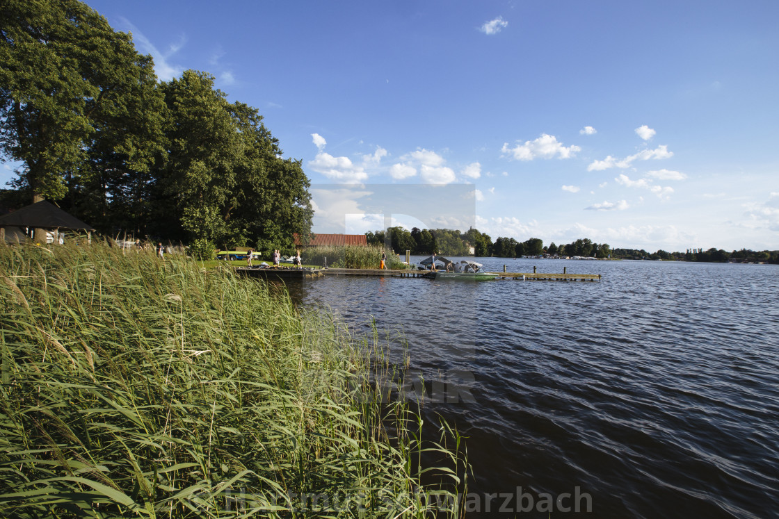 "Hartmut Schwarzbach_argus" stock image