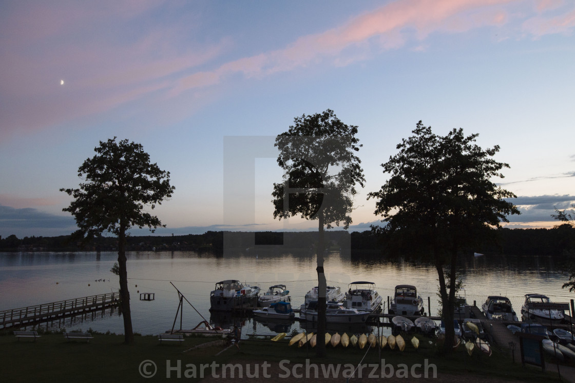 "Hartmut Schwarzbach_argus" stock image