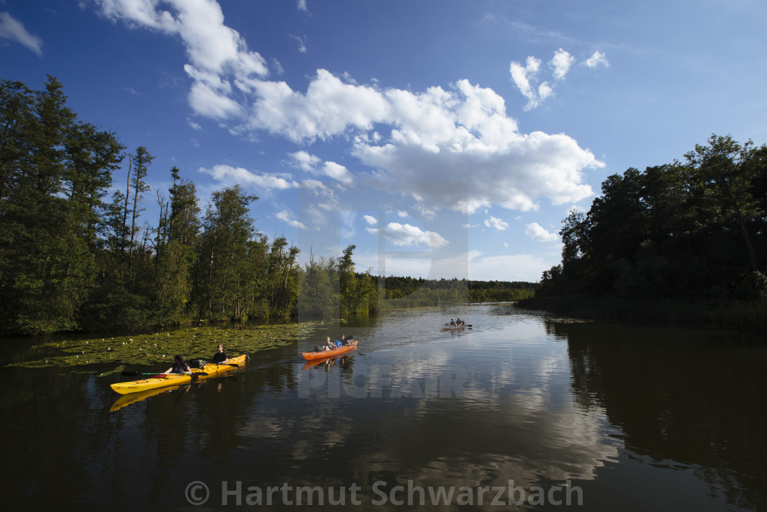 "Hartmut Schwarzbach_argus" stock image