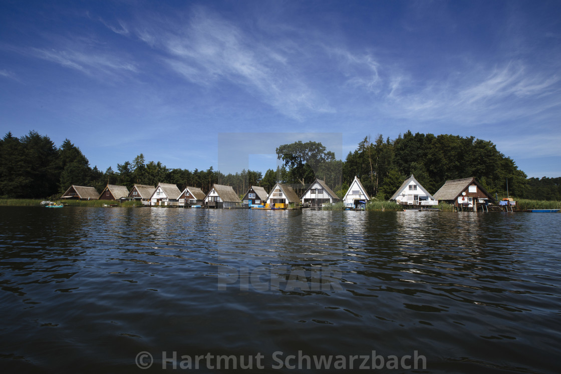 "Hartmut Schwarzbach_argus" stock image