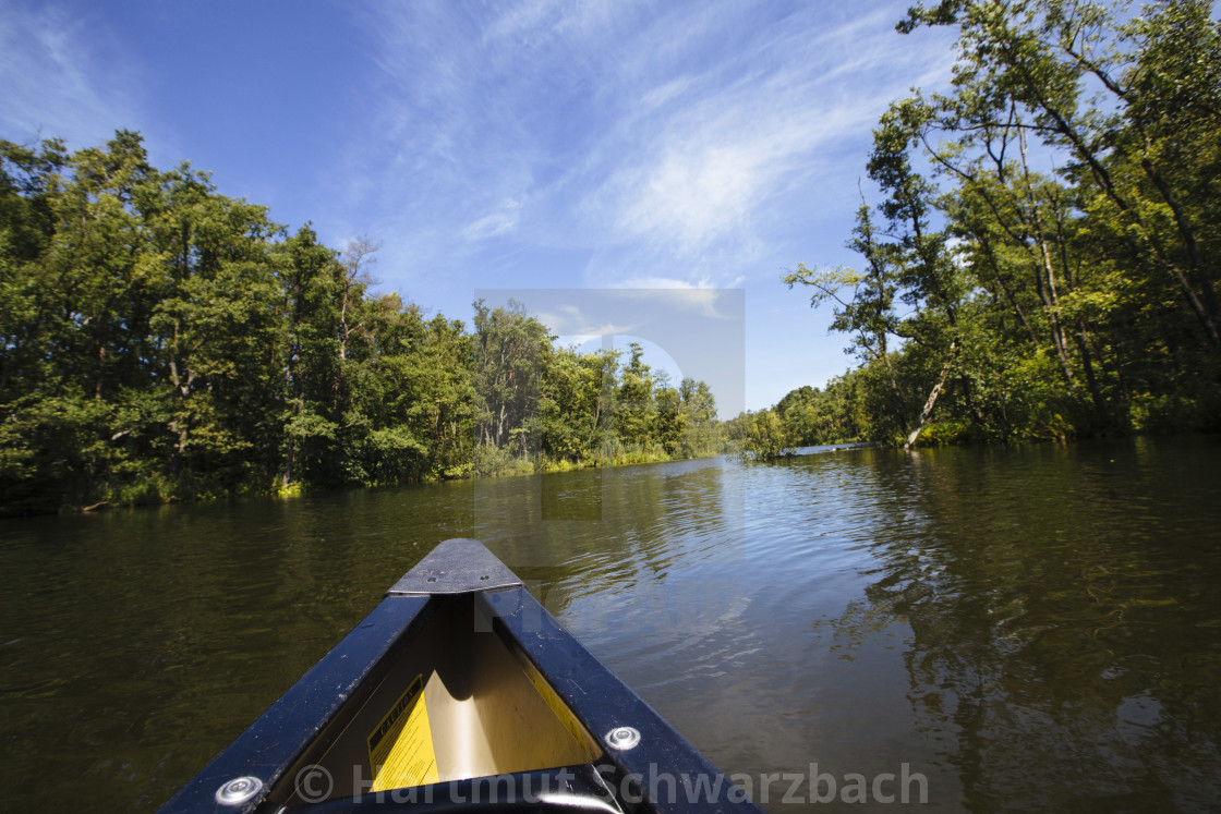 "Hartmut Schwarzbach_argus" stock image