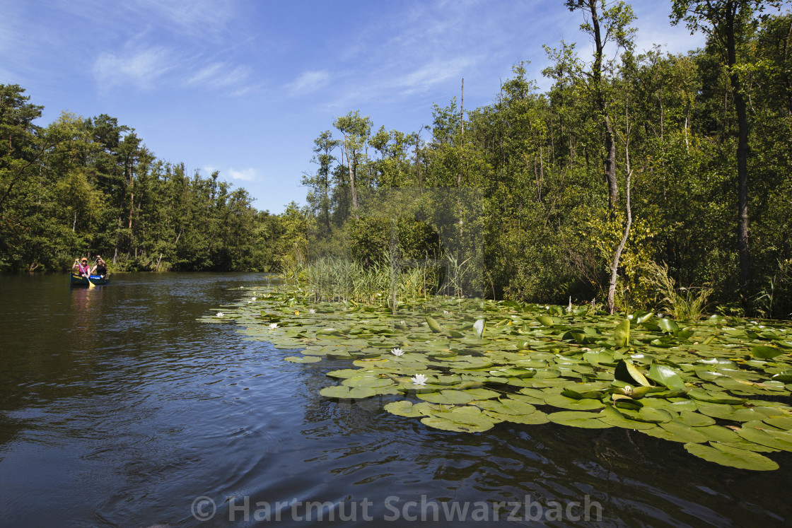 "Hartmut Schwarzbach_argus" stock image