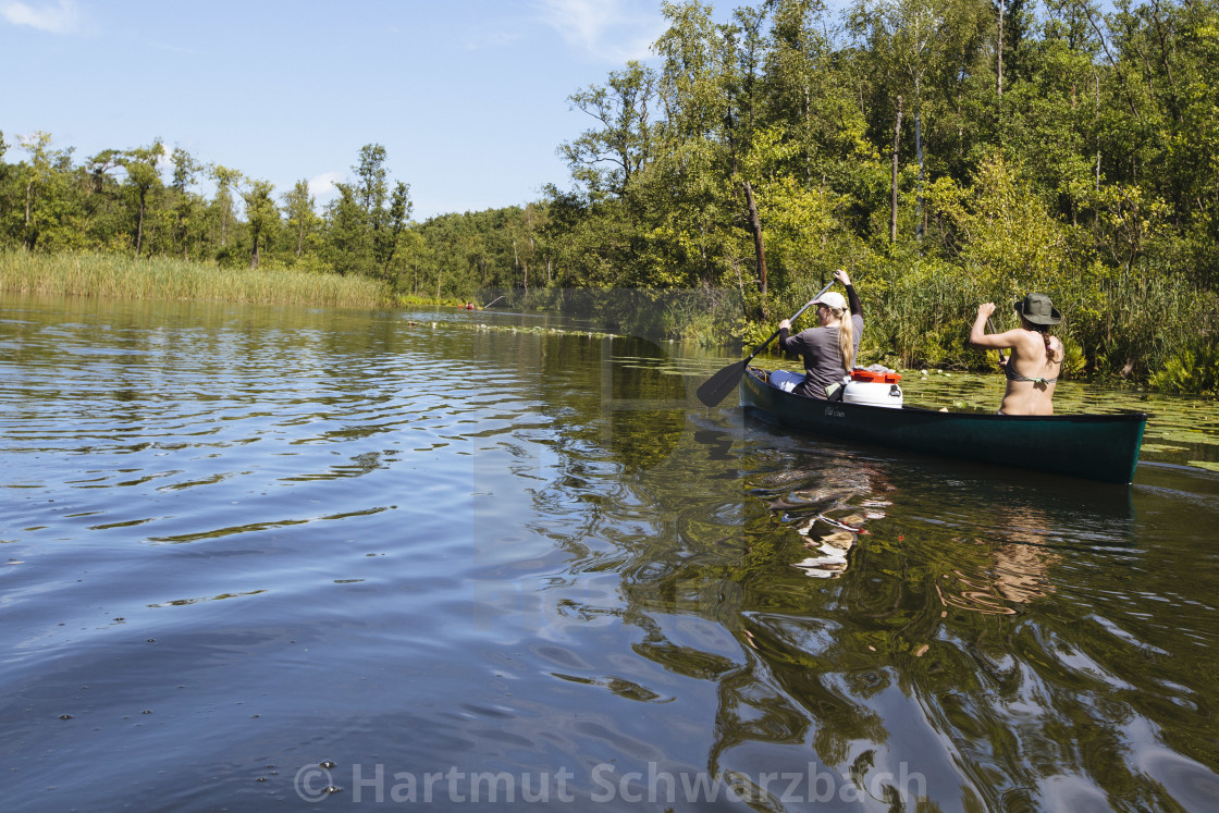 "Hartmut Schwarzbach_argus" stock image