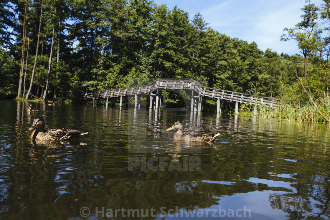 "Hartmut Schwarzbach_argus" stock image