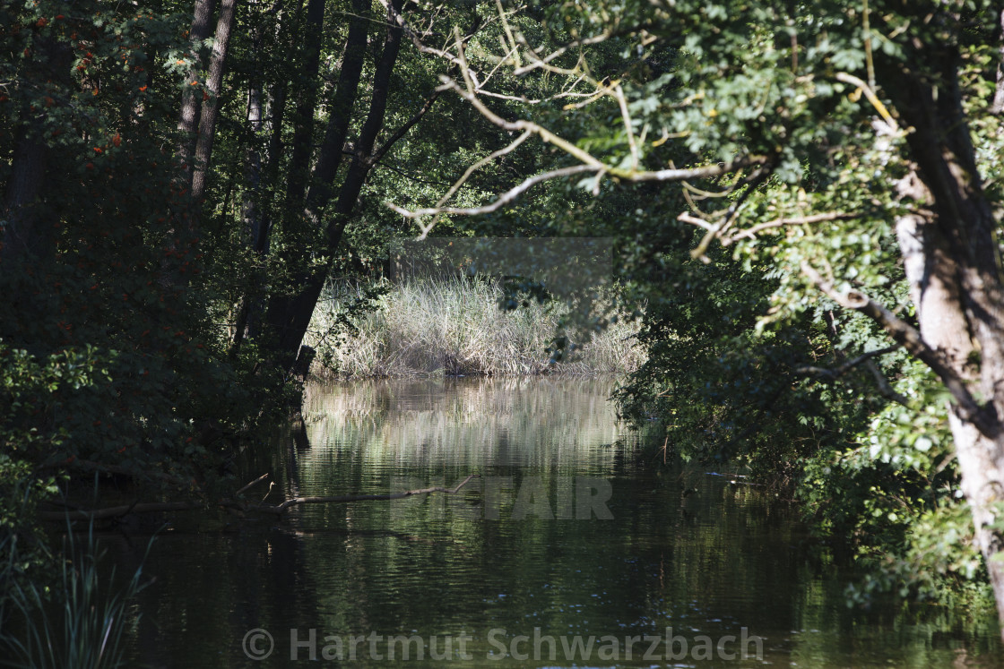 "Hartmut Schwarzbach_argus" stock image