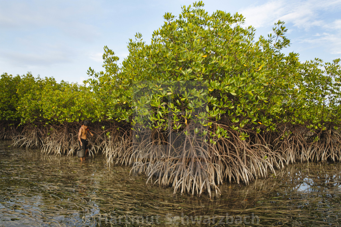 "Batasan Island in the Danajon Bank faces sea-level rise" stock image