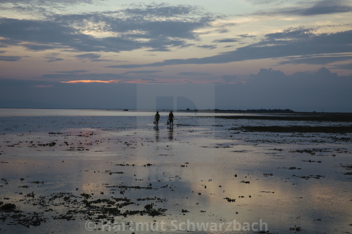 "Batasan Island in the Danajon Bank faces sea-level rise" stock image