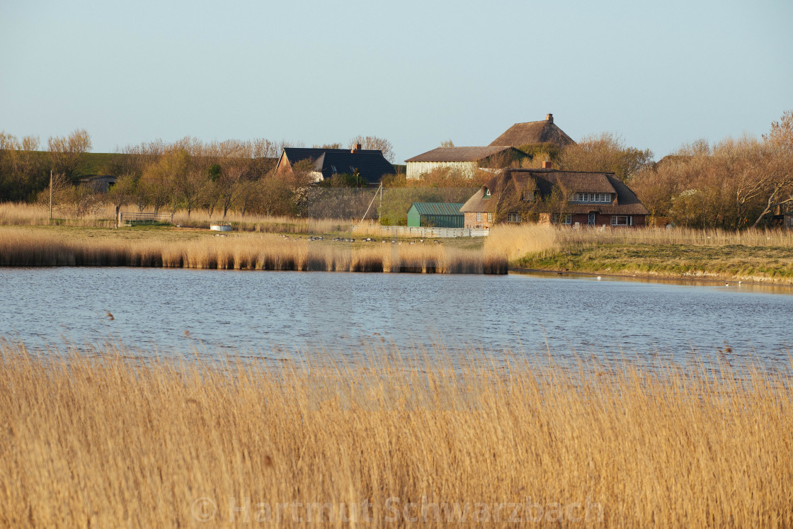 "Nordfriesische Landschaft auf Eiderstedt" stock image