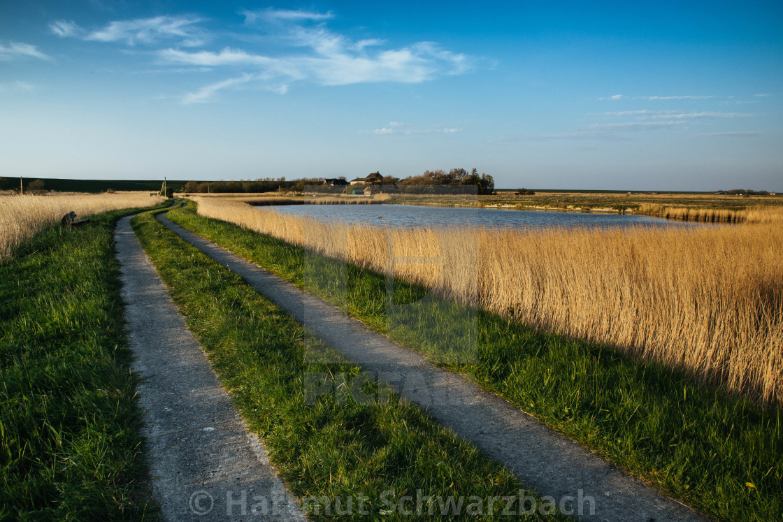 "Nordfriesische Landschaft auf Eiderstedt" stock image