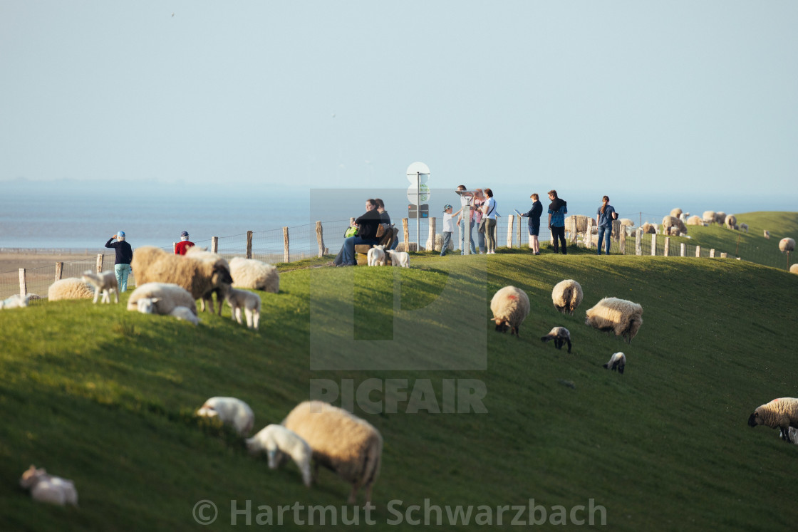 "Nordfriesische Landschaft auf Eiderstedt" stock image