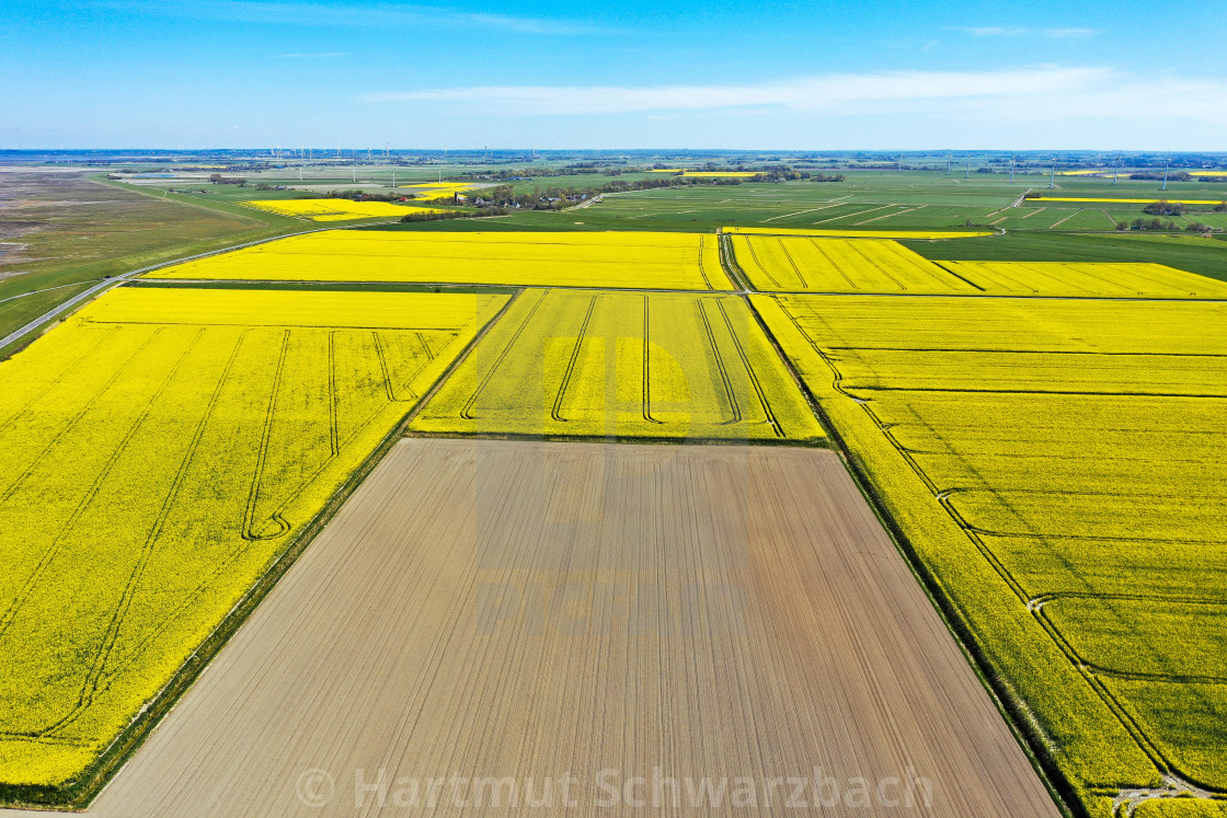 "Drohnenaufnahme Norderfriedrichskoog" stock image