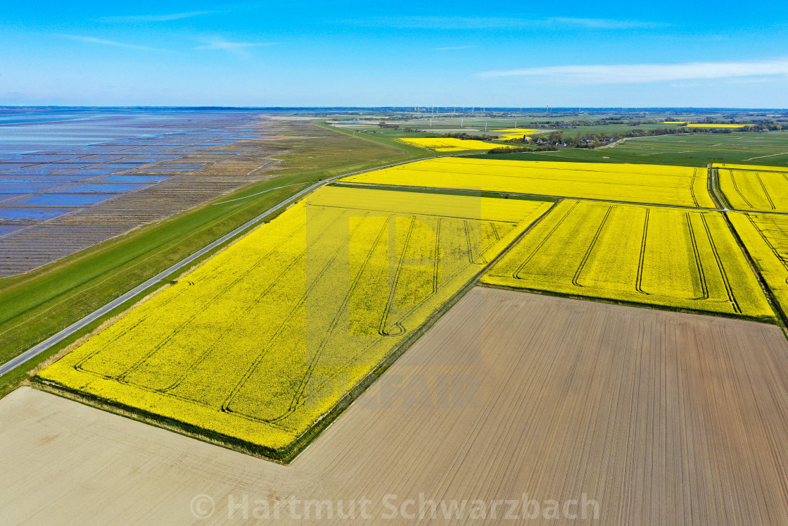 "Drohnenaufnahme Norderfriedrichskoog" stock image