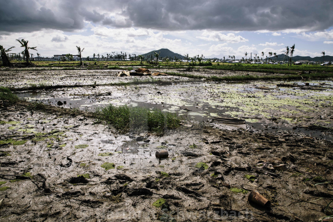 "Supertyphoon Haiyan Yolanda 2013 in Tacloban Leyte Philippines" stock image