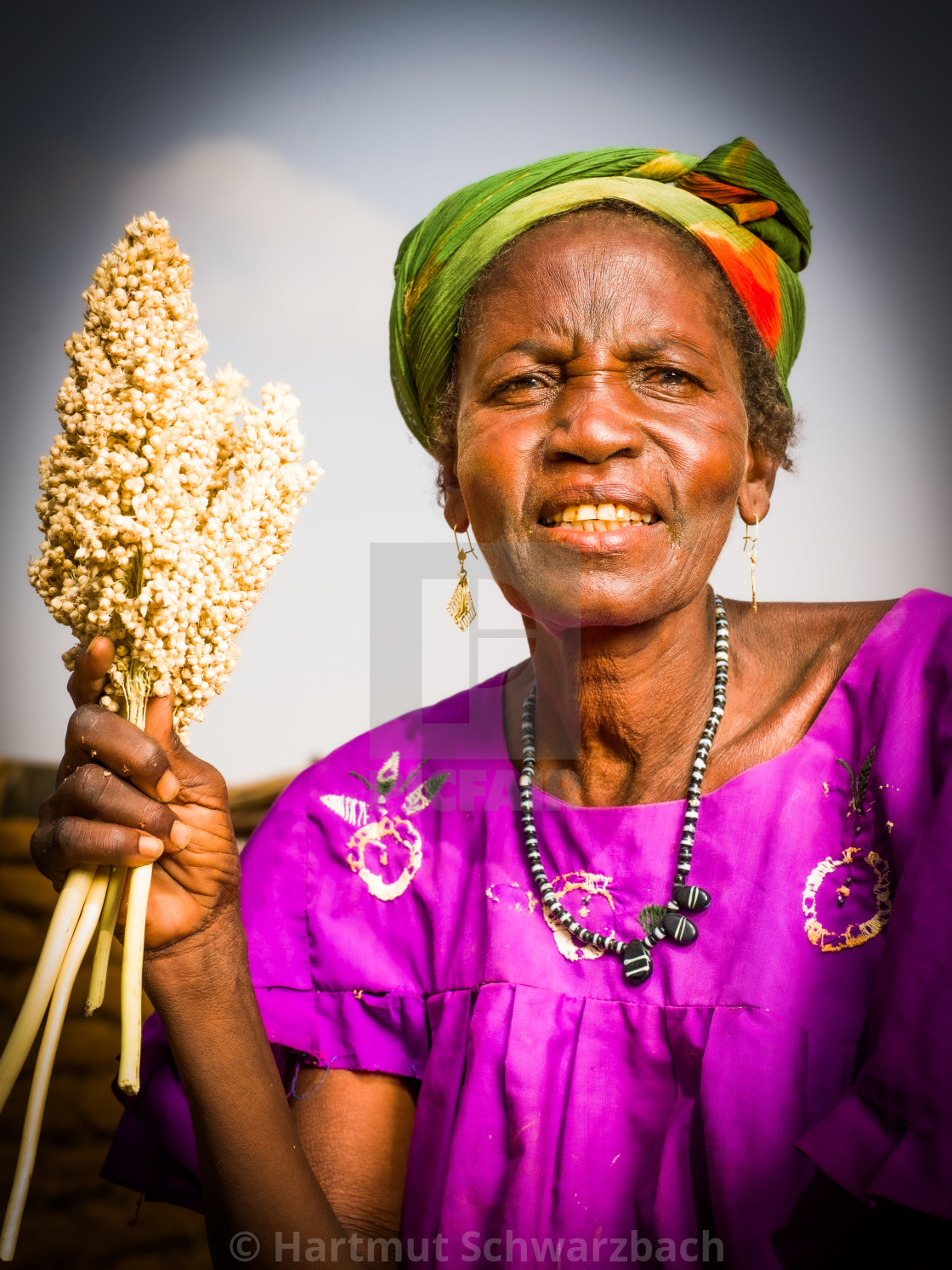 "Traditional Village in the Sahel Zone - Niger" stock image