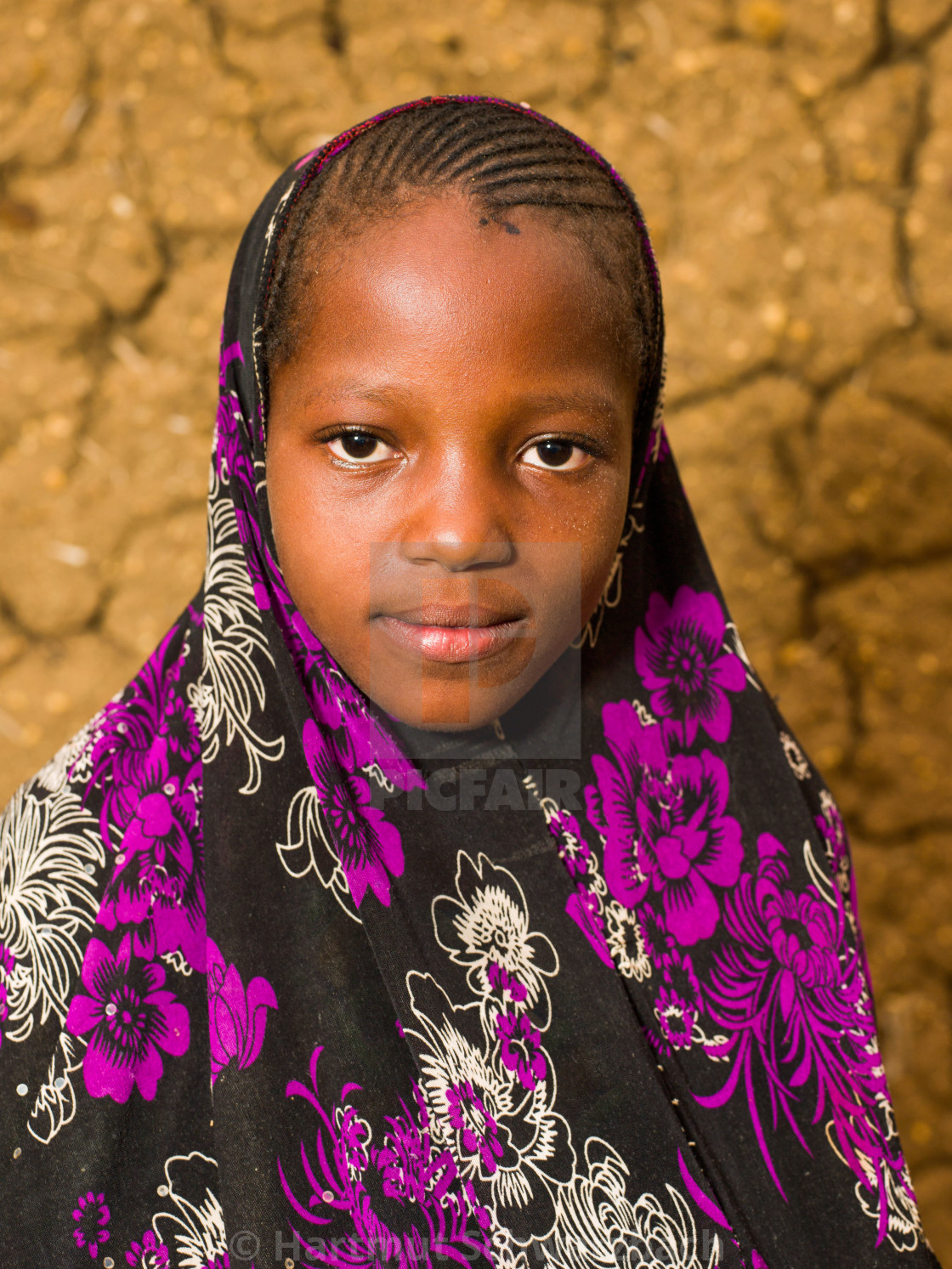 "Traditional Village in the Sahel Zone - Niger" stock image