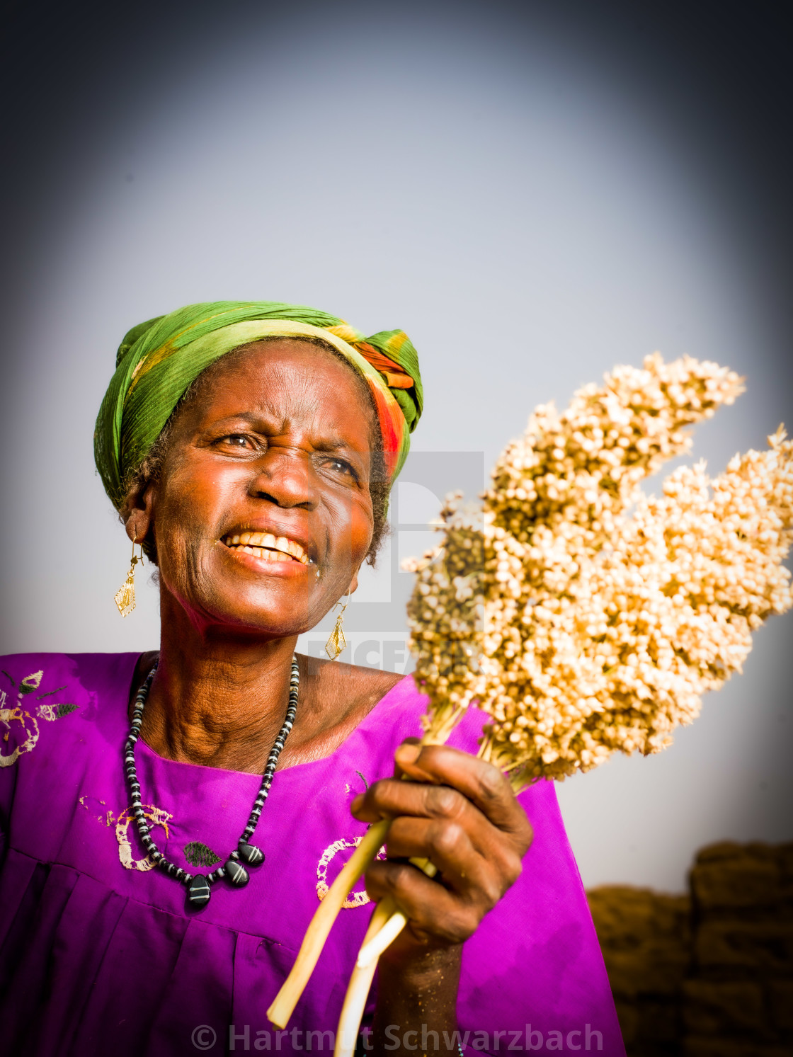 "Traditional Village in the Sahel Zone - Niger" stock image