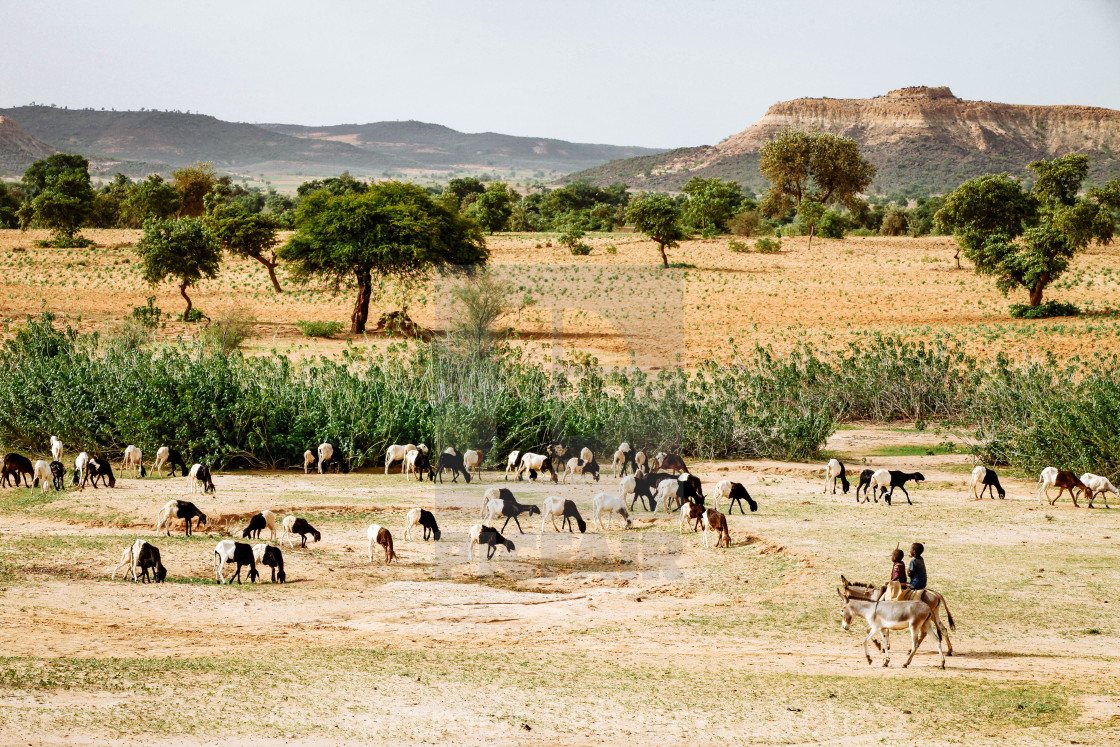 "Traditional Village in the Sahel Zone - Niger" stock image