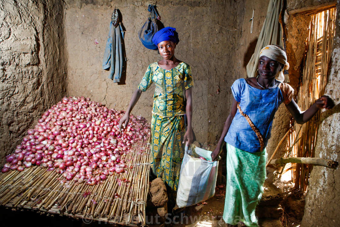 "Traditional Village in the Sahel Zone - Niger" stock image