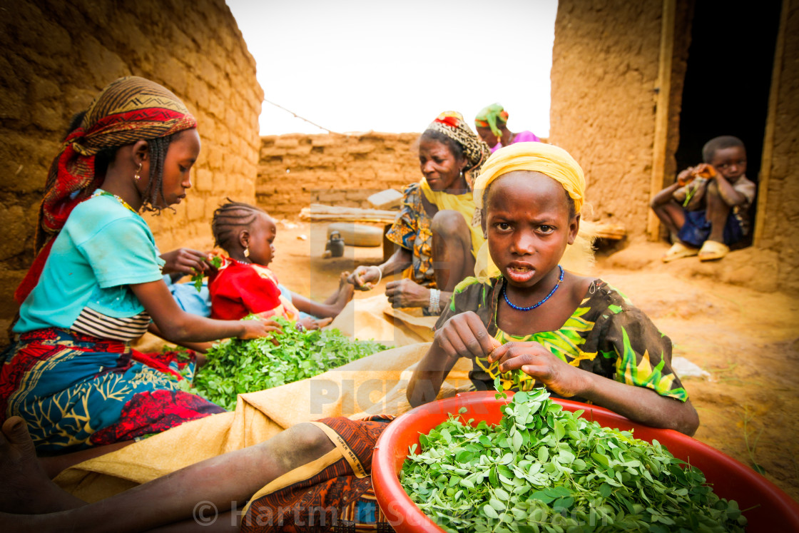 "Traditional Village in the Sahel Zone - Niger" stock image