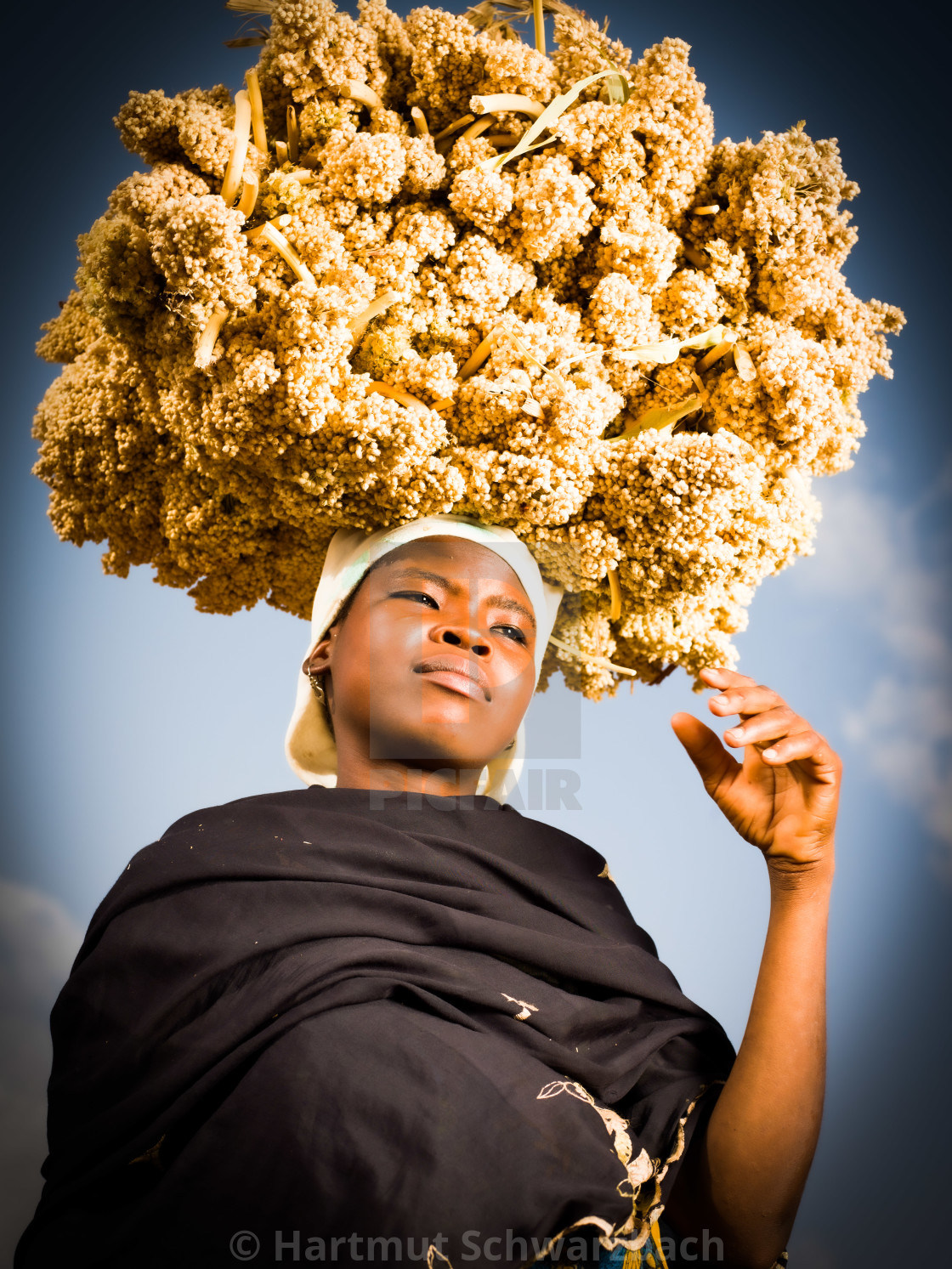 "Traditional Village in the Sahel Zone - Niger" stock image